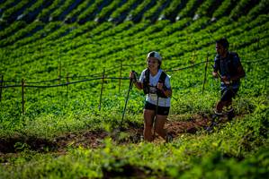 BIB: 976
                            <button type="button" onclick="openModal(19160709)" class="btn btn-primary btn-sm float-right btn-popup" data-toggle="modal" data-target=".modal-high-quality">
                        <i class="fas fa-shopping-cart"></i> Add to Cart
                    </button>
                                            <button type="button" onclick="isThisMe(19160709, true)" class="btn btn-success btn-sm float-right btn-popup btn-isme hidden" data-toggle="tooltip" data-placement="bottom" title="นี่คือรูปของคุณใช่ไหม คลิกที่นี่เพื่อเอาเข้าอัลบั้ม">
                        <i class="fas fa-plus"></i> Add to album
                    </button>
                    <button type="button" onclick="isThisMe(19160709, false)" class="btn btn-warning btn-sm float-right btn-popup btn-isnotme hidden">
                        <i class="fas fa-ban"></i> Remove from album
                    </button>